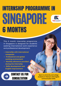 6-Month Internship Programme in Singapore poster