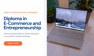 Diploma in E-Commerce and Entrepreneurship